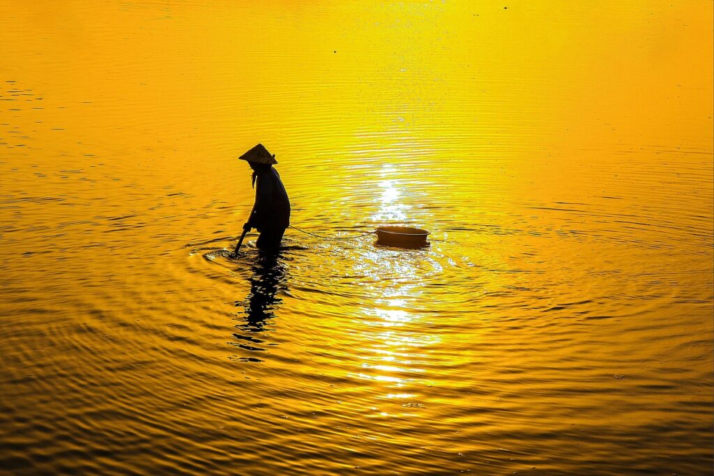 ズワイガニギフトで贈る高級な人気商品は？