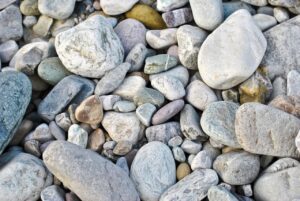 毛ガニの特大サイズを贈るギフトに最適な選び方は？