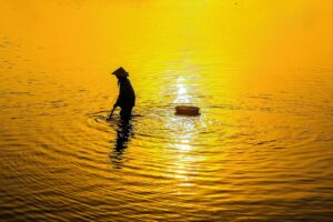 毛ガニの特大サイズを贈るギフトのおすすめは？