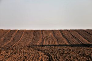 カニ通販でポイント還元を最大限に活用する方法は？